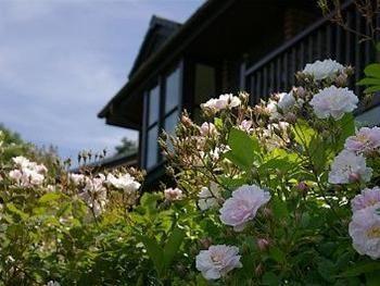 Barclay House Cottages Looe Exteriör bild